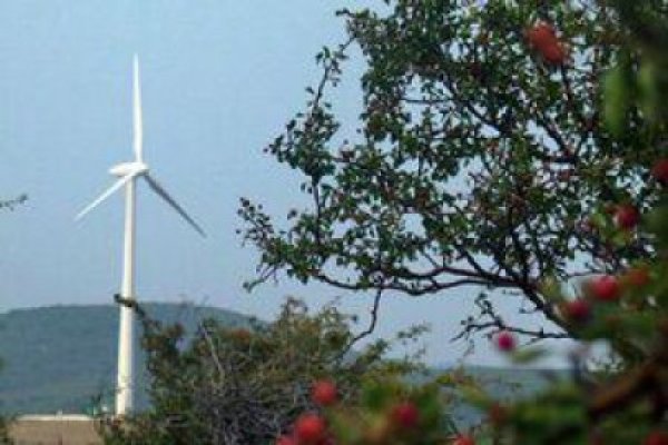 ANRE a acreditat 40 de proiecte fotovoltaice, un parc eolian şi două microhidrocentrale în ultima şedinţă din 2013